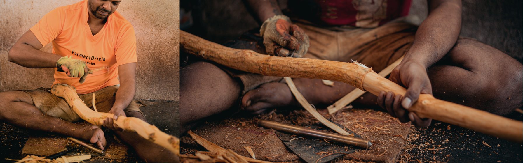Diyadola Estate workers peeling Ceylon cinnamon quills by hand from field to fork
